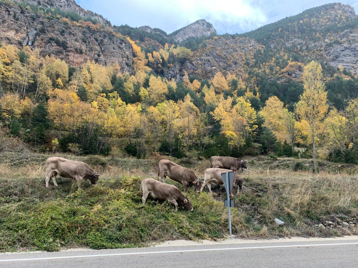 Chalet En El Pirineo De Aragon Neril Eksteriør billede